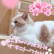 ヒメ日記 2026/05/19 07:30 投稿 あやみ 成田人妻花壇