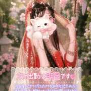 ヒメ日記 2026/09/05 00:31 投稿 あやみ 成田人妻花壇