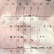 ヒメ日記 2025/06/24 22:57 投稿 峰岸　のぞみ 東京ローズマリー