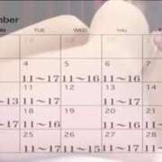 ヒメ日記 2025/10/24 09:27 投稿 峰岸　のぞみ 東京ローズマリー