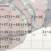 ヒメ日記 2025/11/25 21:47 投稿 峰岸　のぞみ 東京ローズマリー