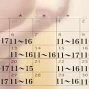 ヒメ日記 2025/12/22 10:17 投稿 峰岸　のぞみ 東京ローズマリー