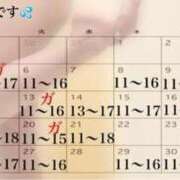 ヒメ日記 2025/12/29 10:37 投稿 峰岸　のぞみ 東京ローズマリー