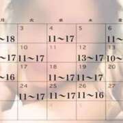 ヒメ日記 2026/01/28 19:57 投稿 峰岸　のぞみ 東京ローズマリー