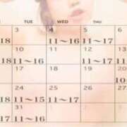 ヒメ日記 2026/02/23 21:17 投稿 峰岸　のぞみ 東京ローズマリー