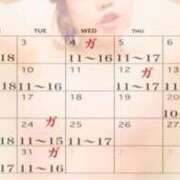 ヒメ日記 2026/02/28 23:57 投稿 峰岸　のぞみ 東京ローズマリー