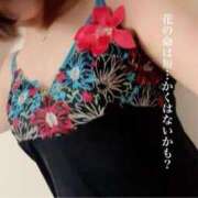 ヒメ日記 2026/04/07 21:57 投稿 峰岸　のぞみ 東京ローズマリー