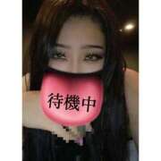 ヒメ日記 2025/03/25 15:33 投稿 あいる アラカルト