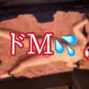 ヒメ日記 2025/06/08 23:28 投稿 あいる アラカルト