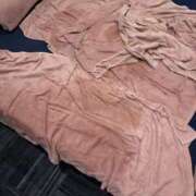 ヒメ日記 2025/08/12 11:32 投稿 あいる アラカルト