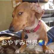 ヒメ日記 2025/08/31 22:46 投稿 あいる アラカルト