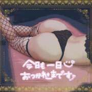 ヒメ日記 2025/09/13 23:37 投稿 あいる アラカルト