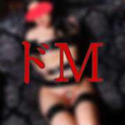 ヒメ日記 2025/10/02 14:27 投稿 あいる アラカルト