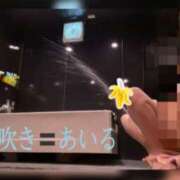 ヒメ日記 2025/10/09 23:15 投稿 あいる アラカルト