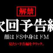 ヒメ日記 2025/11/19 14:38 投稿 あいる アラカルト