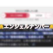 ヒメ日記 2025/11/19 22:43 投稿 あいる アラカルト