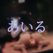 ヒメ日記 2025/11/27 13:32 投稿 あいる アラカルト