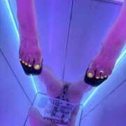 ヒメ日記 2025/12/10 14:31 投稿 あいる アラカルト