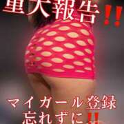 ヒメ日記 2025/12/12 22:02 投稿 あいる アラカルト