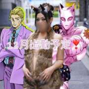 ヒメ日記 2025/12/27 11:27 投稿 あいる アラカルト