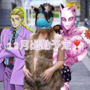 ヒメ日記 2025/12/29 19:24 投稿 あいる アラカルト