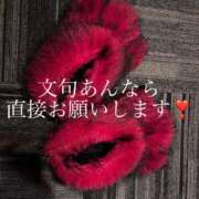 ヒメ日記 2026/01/03 18:55 投稿 あいる アラカルト