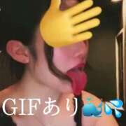 ヒメ日記 2026/02/01 12:03 投稿 あいる アラカルト