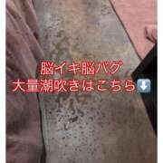 ヒメ日記 2026/04/03 12:04 投稿 あいる アラカルト