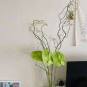 ヒメ日記 2025/03/03 09:05 投稿 きょうこ 横浜熟女MAX