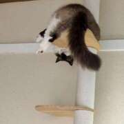 ヒメ日記 2025/05/27 18:35 投稿 きょうこ 横浜熟女MAX