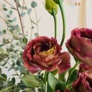 ヒメ日記 2025/08/26 19:27 投稿 きょうこ 横浜熟女MAX