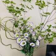 ヒメ日記 2025/08/27 14:05 投稿 きょうこ 横浜熟女MAX