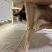 ヒメ日記 2025/09/26 09:35 投稿 きょうこ 横浜熟女MAX