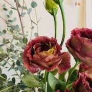 ヒメ日記 2025/10/10 12:35 投稿 きょうこ 横浜熟女MAX