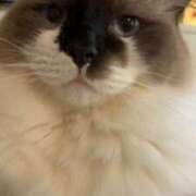 ヒメ日記 2025/11/01 17:45 投稿 きょうこ 横浜熟女MAX