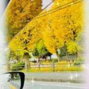 ヒメ日記 2025/11/25 10:45 投稿 きょうこ 横浜熟女MAX