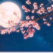 ヒメ日記 2026/04/02 12:05 投稿 きょうこ 横浜熟女MAX