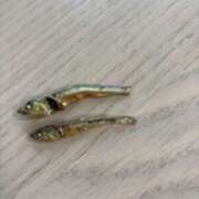 ヒメ日記 2026/04/29 09:45 投稿 きょうこ 横浜熟女MAX