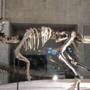 ヒメ日記 2025/12/24 20:58 投稿 みか きゃんでぃドロップス