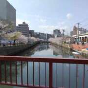 ヒメ日記 2025/04/08 09:35 投稿 さゆ ピンクハウス（横浜）