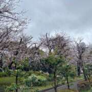 ヒメ日記 2025/03/29 17:10 投稿 りょう ソープランド AQUA（アクア）