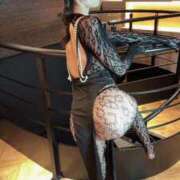 ヒメ日記 2026/01/04 12:18 投稿 りょう ソープランド AQUA（アクア）