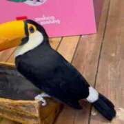 ヒメ日記 2026/02/14 18:20 投稿 りょう ソープランド AQUA（アクア）