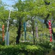 ヒメ日記 2026/05/02 12:35 投稿 りょう ソープランド AQUA（アクア）