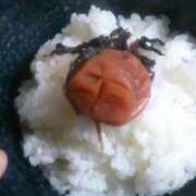 ヒメ日記 2025/06/02 21:31 投稿 あまなつ 逢って30秒で即尺