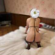 ヒメ日記 2025/12/04 08:21 投稿 あまなつ 逢って30秒で即尺