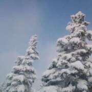 ヒメ日記 2025/12/25 05:41 投稿 あまなつ 逢って30秒で即尺