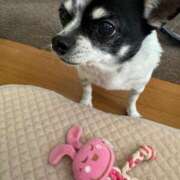 ヒメ日記 2025/05/05 10:28 投稿 のどか 成田富里インターちゃんこ