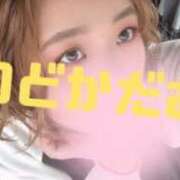 ヒメ日記 2025/06/02 12:58 投稿 のどか 成田富里インターちゃんこ