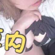 ヒメ日記 2025/06/25 10:38 投稿 のどか 成田富里インターちゃんこ